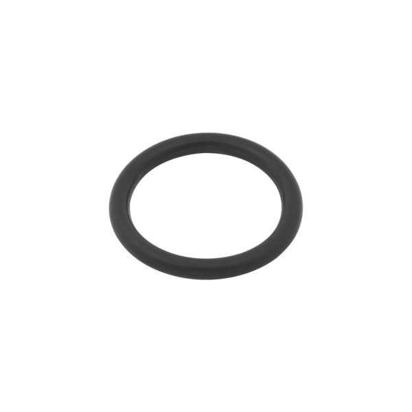 O-RING SPEEDO DRIVE PINION