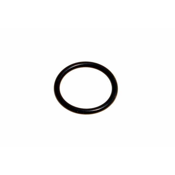 O RING SELECTOR SHAFT