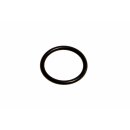 O-Ring Schaltwelle