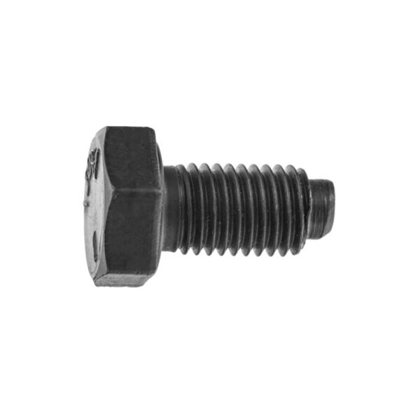 SCREW, BEARING RETAINING