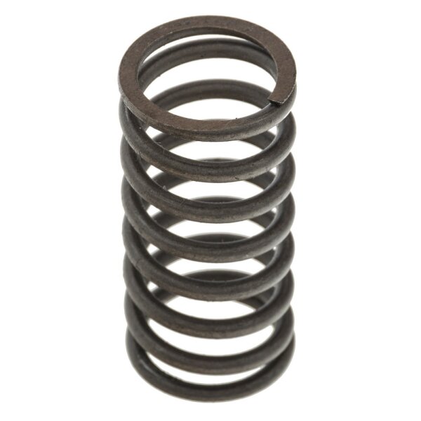 VALVE SPRING, INNER