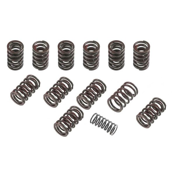 VALVE SPRING SET