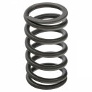 VALVE SPRING A+