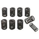 VALVE SPRING SET, 16 PIECES