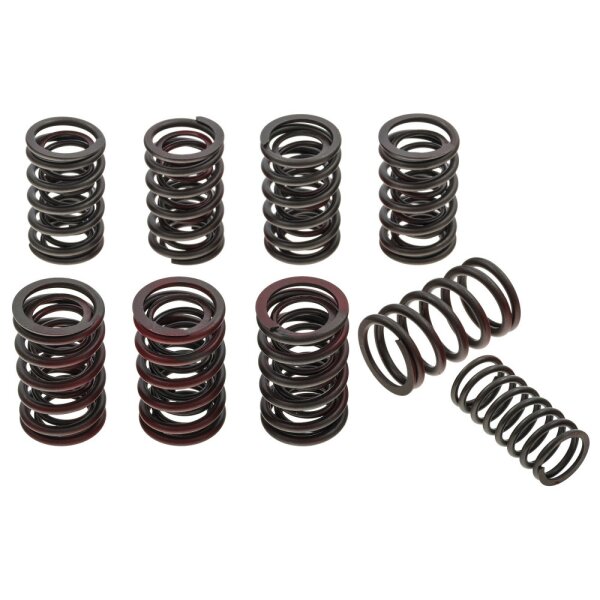 VALVE SPRING SET