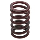 VALVE SPRING SINGLE