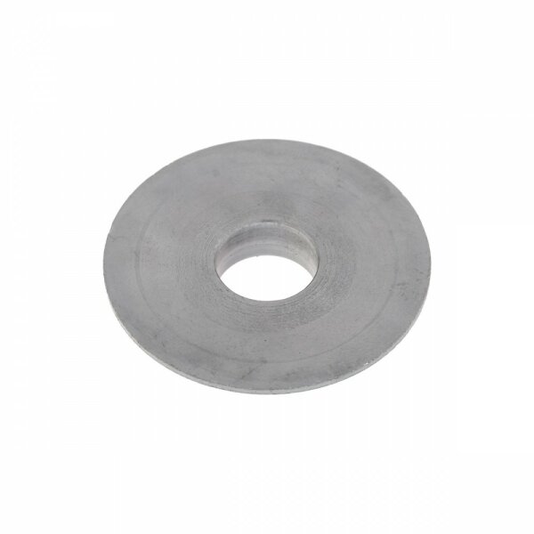 Scheibe Schwenklager
