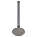 Ventil Einlass
 1,25&quot;
