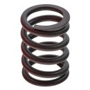 VALVE SPRING, SINGLE SPRING FITMENT