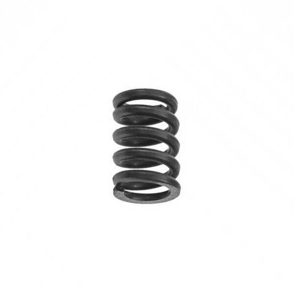 ANTI RATTLE SPRING