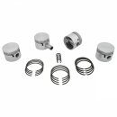 PISTON SET, ENGINE SET, +0.040"