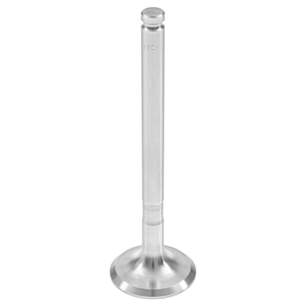EXHAUST VALVE