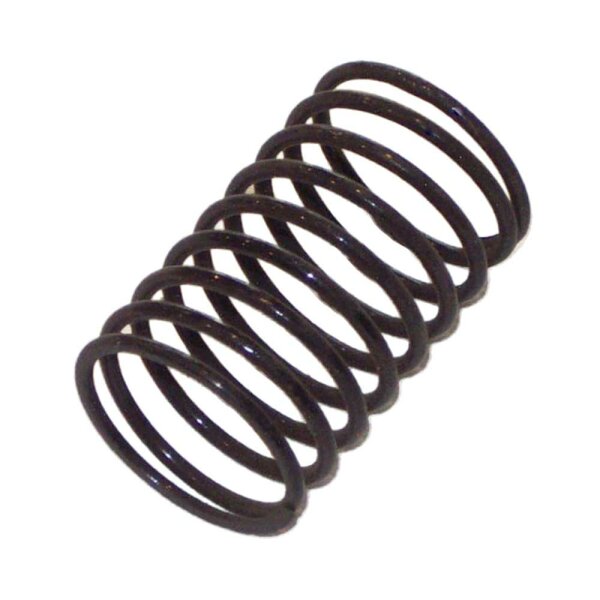 DUST TUBE SPRING