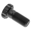 BOLT FLYWHEEL 12-PT ARP