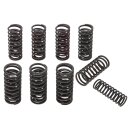 VALVE SPRING SET