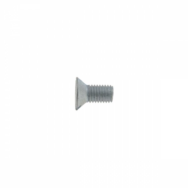 SCREW SLOTTED 1/4IN