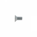 SCREW SLOTTED 1/4IN