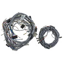 WIRING HARNESS, MAIN &amp; DASH LOOM