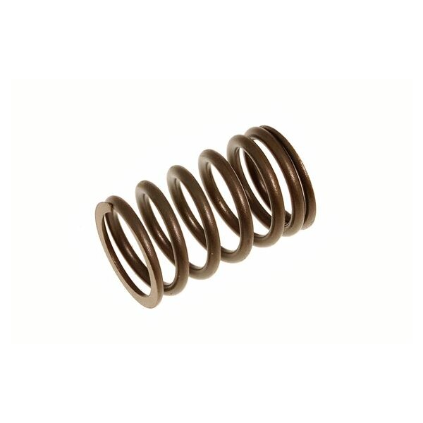 VALVE SPRING OUTER