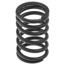 VALVE SPRING OUTER