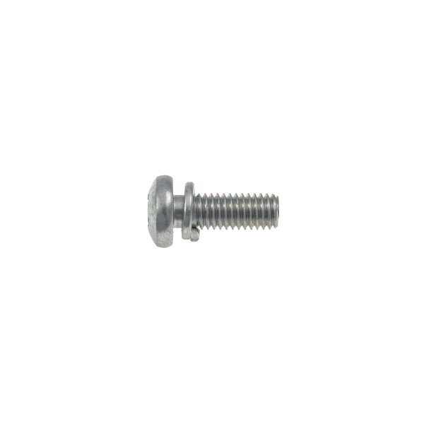 SCREW &amp; WASHER, COVER STROMBERG