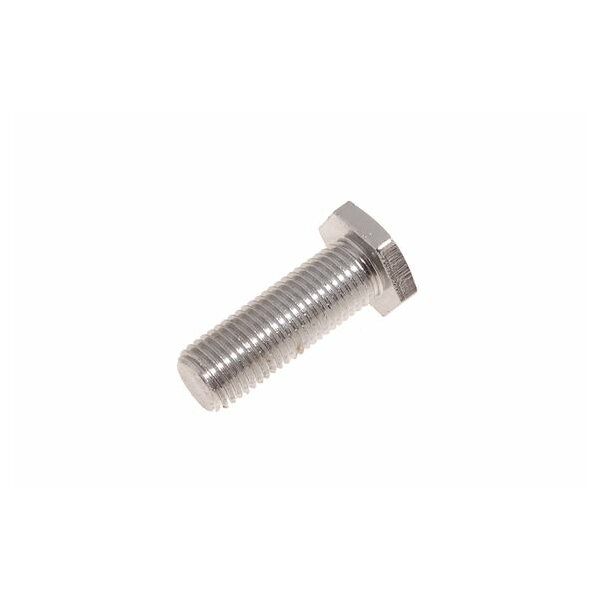 SEAT BELT MOUNT BOLT