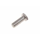 SEAT BELT MOUNT BOLT