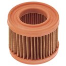 Filter Frischluft-Einblaspumpe