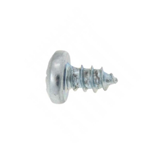 Blechschraube Flach-Rundkopf, Kreuzschlitz No 6 x 1/4"
