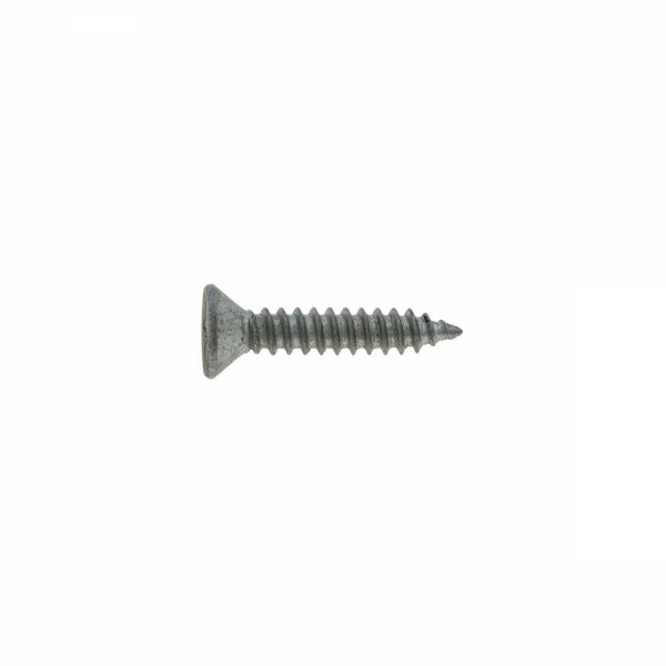 SCREW COUNTERSUNK 10 X 1"