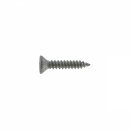 SCREW COUNTERSUNK 10 X 1"