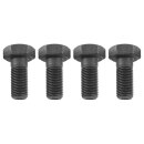 BOLT SET, FLYWHEEL TO CRANK, SET OF 4