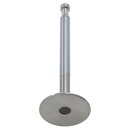 EXHAUST VALVE 6CYL AH 69&gt;