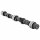 Camshaft, Piper, fast road, new