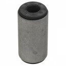 BUSH REAR SPRING