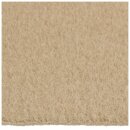 BOOT CARPET MINOR TRAV BISCUIT