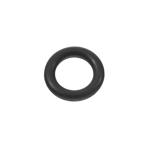 O-Ring Vergaser