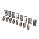 VALVE SPRING SET, 8 PIECES, UPRATED