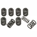 VALVE SPRING SET, DUAL SPRINGS 200LB, UPRATED