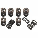 VALVE SPRING SET, DUAL SPRINGS, UPRATED