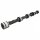 CAMSHAFT SPRINT 6CYL NEW