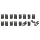 VALVE SPRING SET, 16 PAIRS