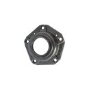 REAR BEARING CARRIER