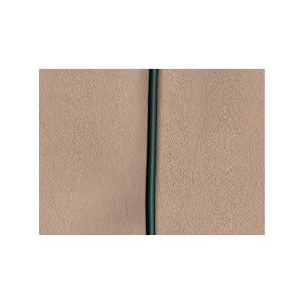 Sitzbezug vorne, Vinyl, beige/Keder suede gr&uuml;n, Paar, 49-53