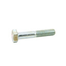 Schraube M10 x 55 mm