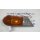 Blinker/Standlicht    weiss/orange,  RH,  L816, L52893