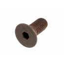 SCREW - PLATE ATTACHMENT