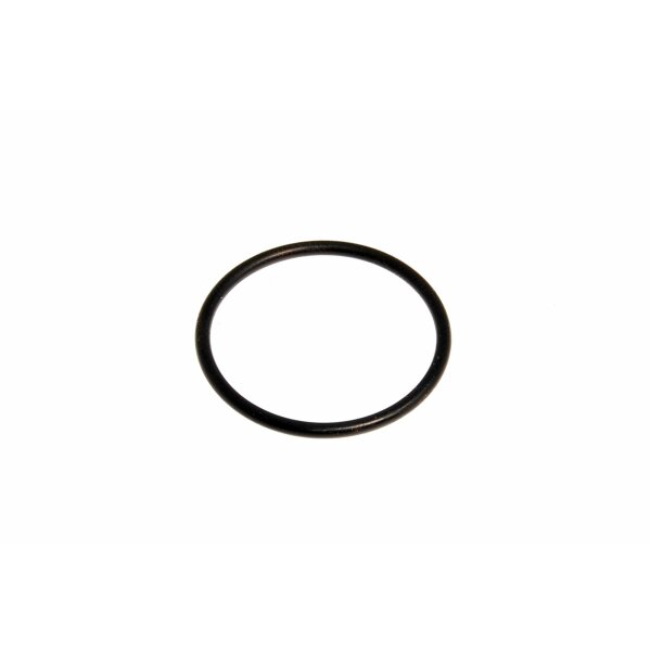 O-Ring/Dichtring